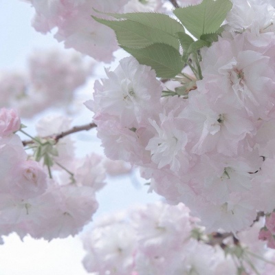 兽设细节刻画技巧兽圈群